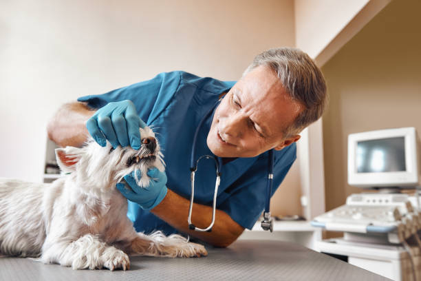 Best Emergency Dental Surgery in Pelham, GA